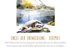 Entwicklung_k