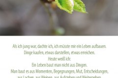 alsichjungwar