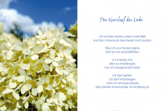 derkreislauf