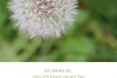 ichdankedir