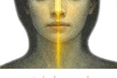 indirleuchtet1