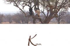 kommindeinezuversicht