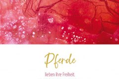 pferde